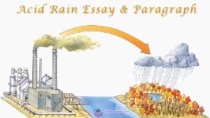 Acid Rain Essay & Paragraph in English for Students